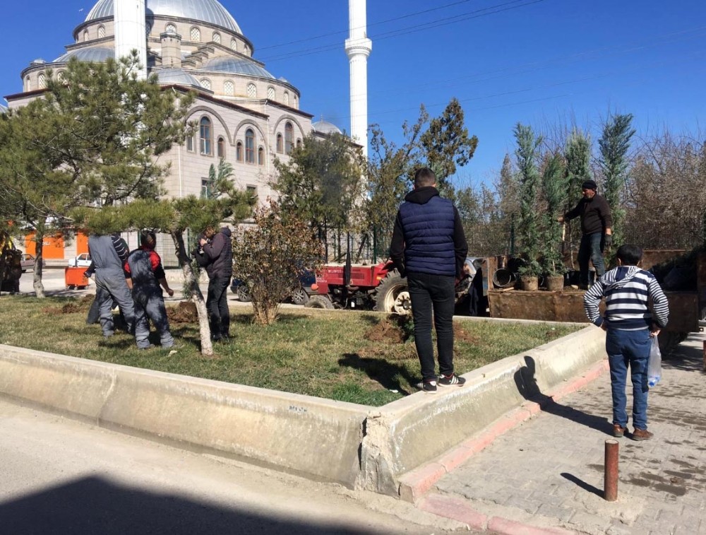 Yerköy’de ağaçlandırma çalışmaları devam ediyor 