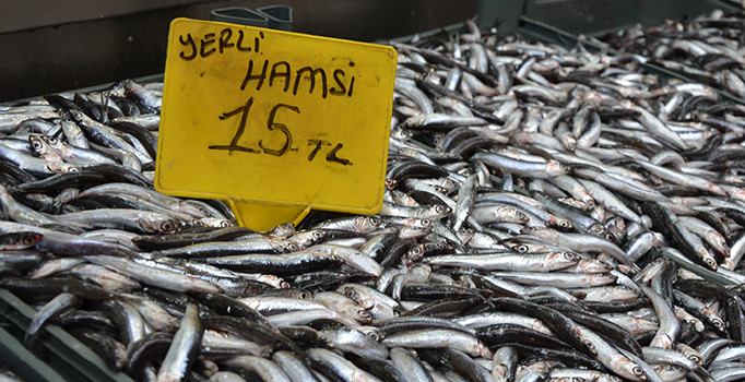 Yerli hamsi tezgahlarda yerini aldı