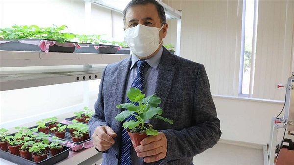 Yerli korona ilacı bulundu mu? Yeril aşı ilaç ne zaman kullanılacak?