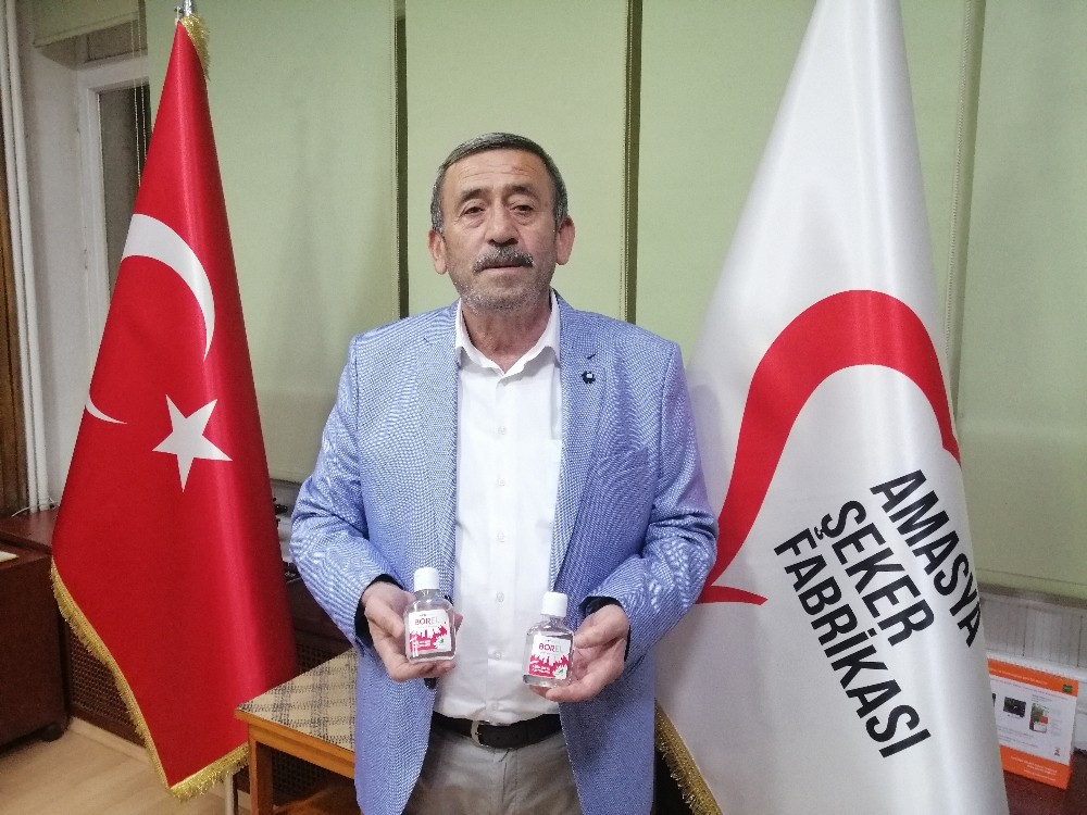 Yerli ve milli dezenfektanın ham maddesi Amasya’dan 