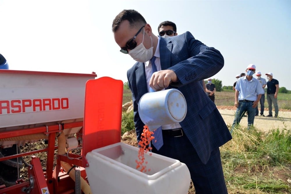 Yerli ve milli mısır tohumu ’Hacıbey’ toprakla buluştu 