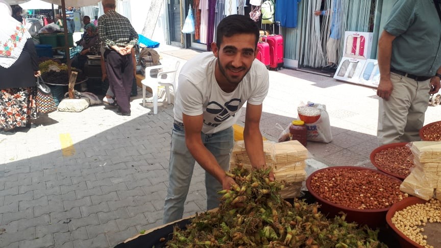 Yerli yaş fındığın kilosu 10 TL 
