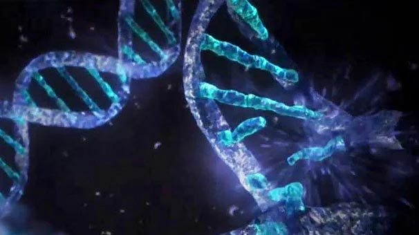 Yeryüzündeki milyonlarca canlının genom haritası çıkarılacak