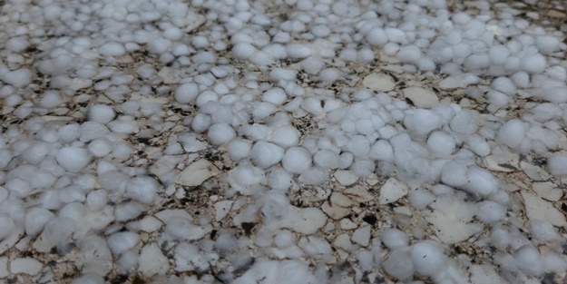 Yeşil alanlar beyaza büründü