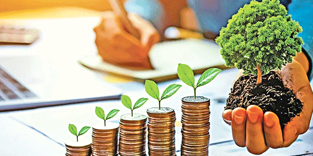 ‘Yeşil Bankacılık’ İçin Rehber Hazırlanacak