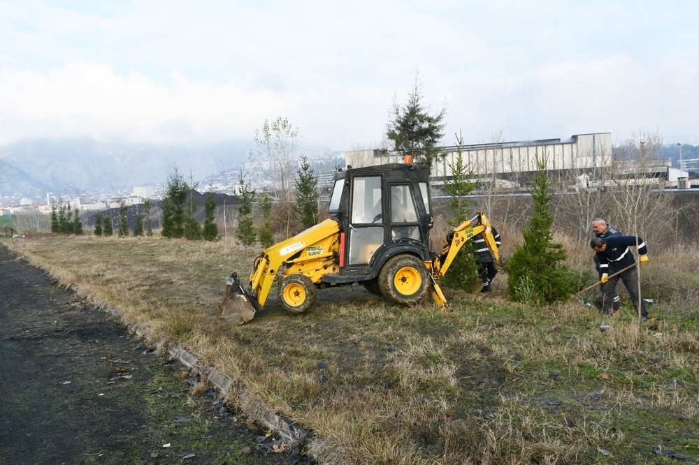 Yeşil bir Karabük için bin fidan dikildi 