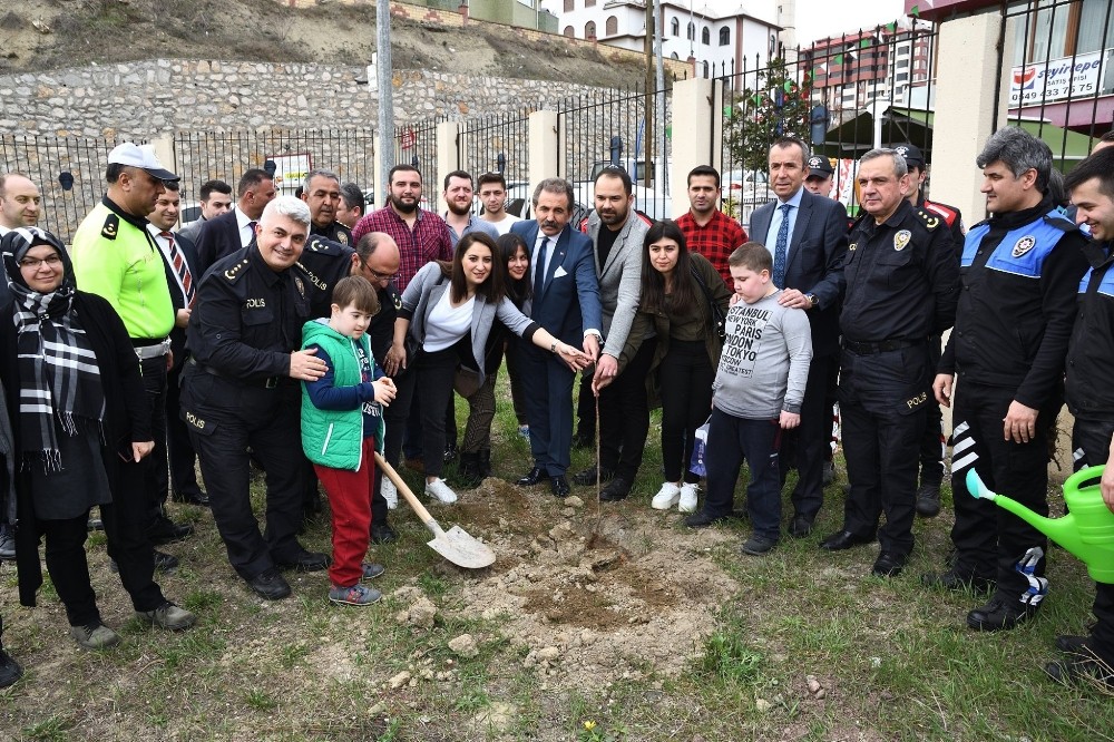 Yeşil bitki örtüsüne destek amacıyla fidan dikimi yapıldı 