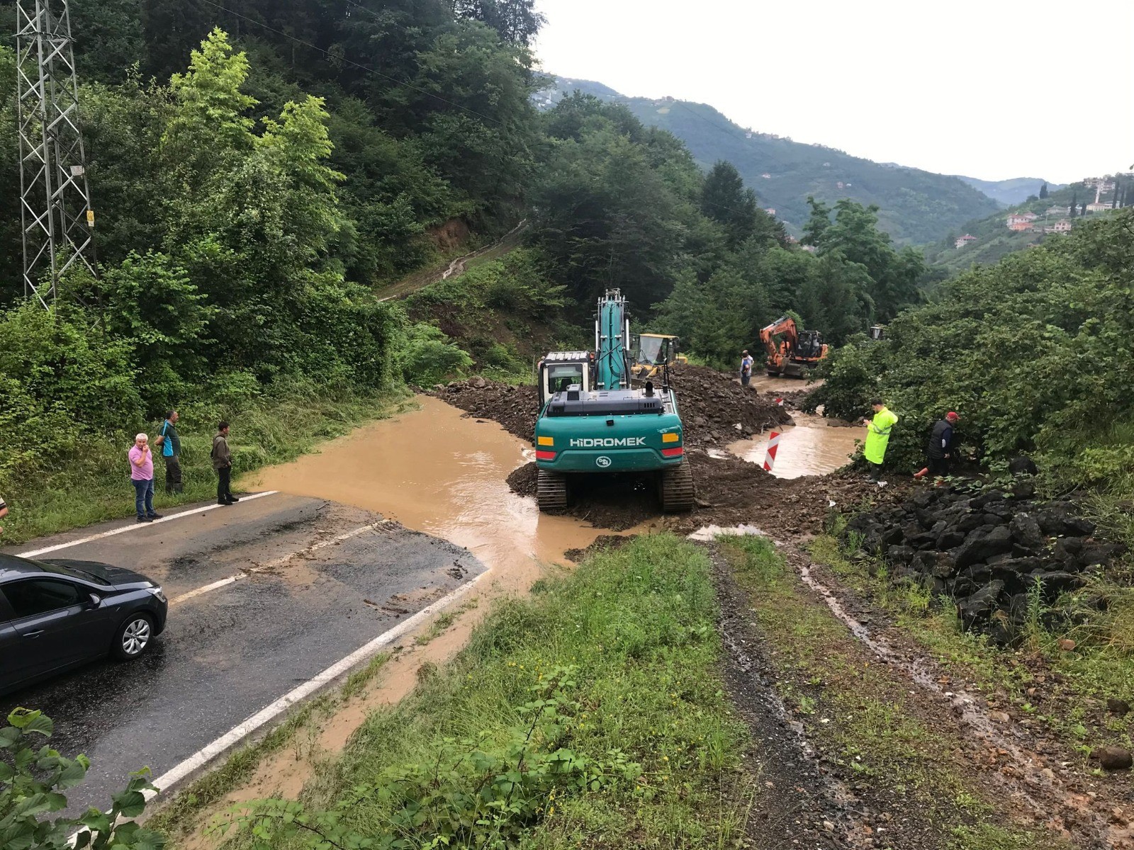 Yeşil karıncalar sel felaketinde yine iş başında