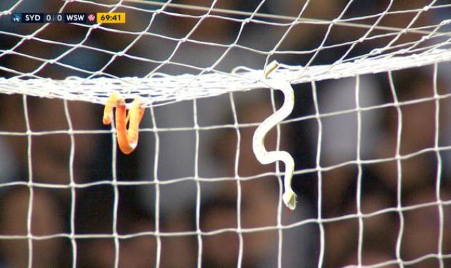 Yeşil sahalarda görülmemiş olay