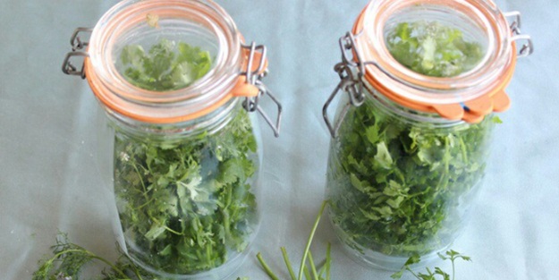 Yeşil sebzeler nasıl taze korunur?