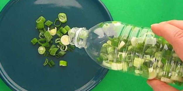 Yeşil soğanı bu şekilde saklarsanız...