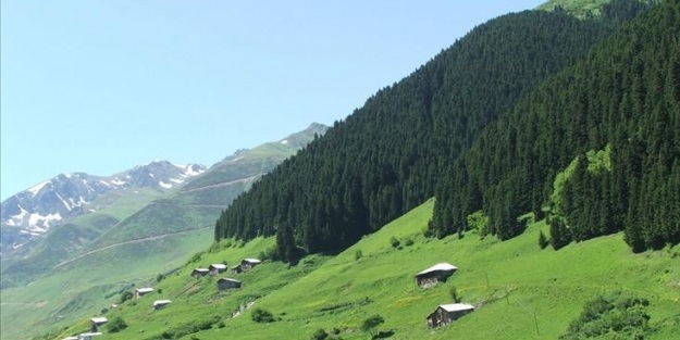 Yeşil Yol Karadeniz'e 2 milyon turist getirecek