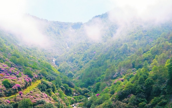 Yeşilin en güzel hali