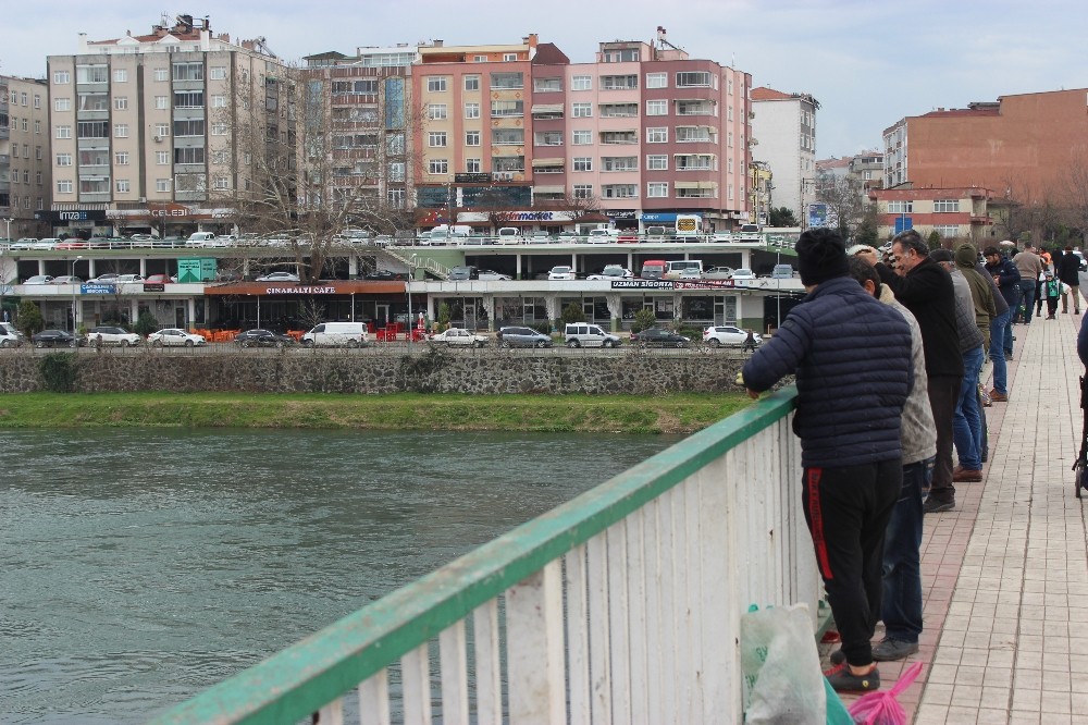 Yeşilırmak’ta rastgele 
