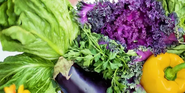 Yeşillikleri çöpe atmaya son! Böyle saklayınca haftalarca bozulmuyor, taze kalıyor! Etkisi ve sebebi ise şok etti