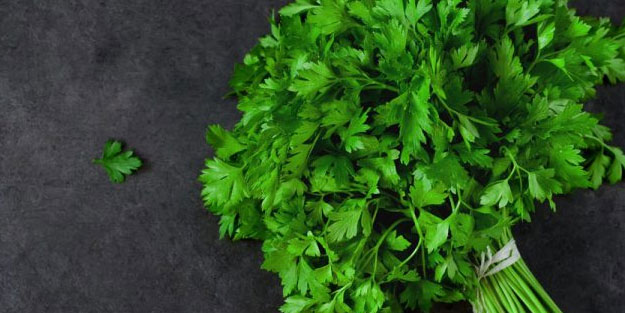 Yeşilliklerin mucizevi besini maydonozun faydaları