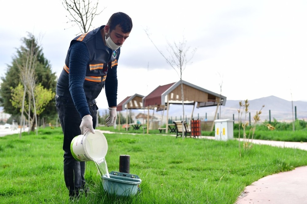 Yeşilyurt Belediyesi sokak hayvanlarını unutmadı 