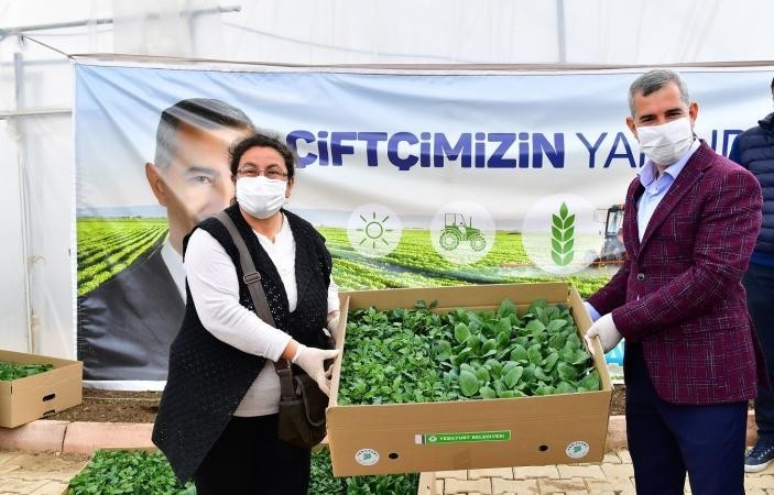 Yeşilyurt’ta 100 bin sebze fidesi dağıtımına başlandı 