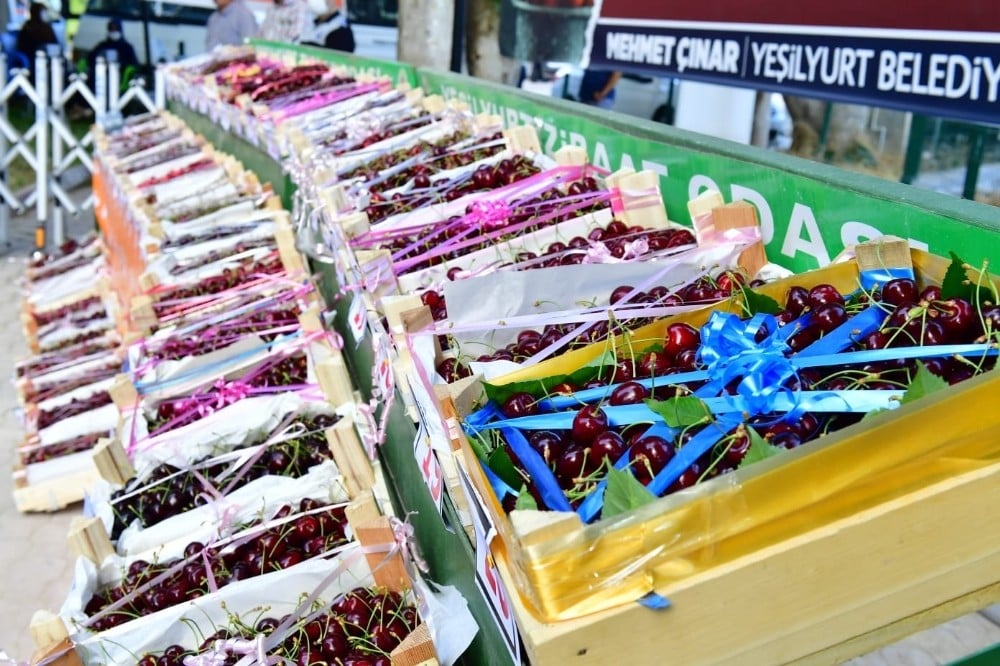 Yeşilyurt’ta en iyi kiraz ve bahçesi ödülleri sahiplerini buldu 