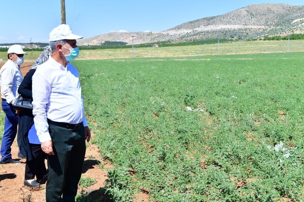 Yeşilyurt’ta tarımsal üretim ve Ar-Ge sahası kuruldu 