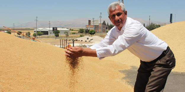 Yetkili ağızdan açıklama geldi! Sosyal medyadaki 'buğday' yalanı patladı