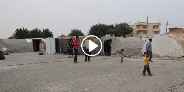 Yezidiler Irak'a dönmek istemiyor