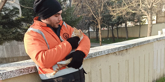 Yıkıntılar arasından gelen kediye kucak açtı
