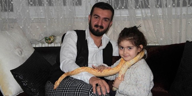 Yılan korkusunu yılan besleyerek aştı!