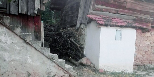 Yılan yerine kazayla ablasını öldürdü