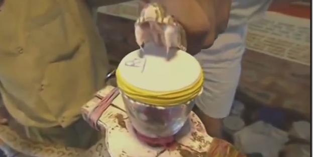 Yılan zehrinden deri yapıştırıcısı üretildi