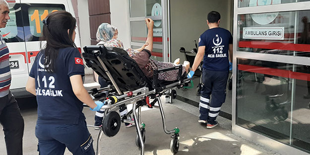 Yılanın soktuğu kadın hastaneye kaldırıldı