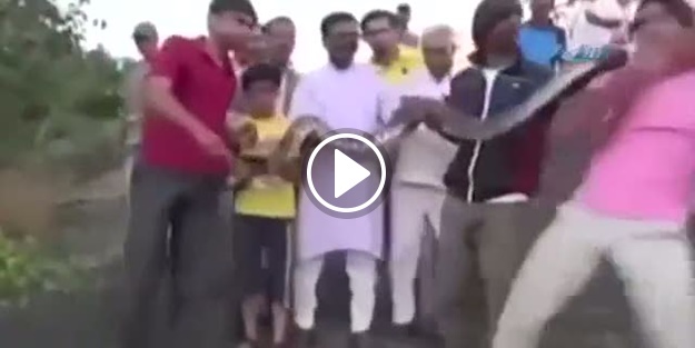 Yılanla fotoğraf çektirmek istediler ama...