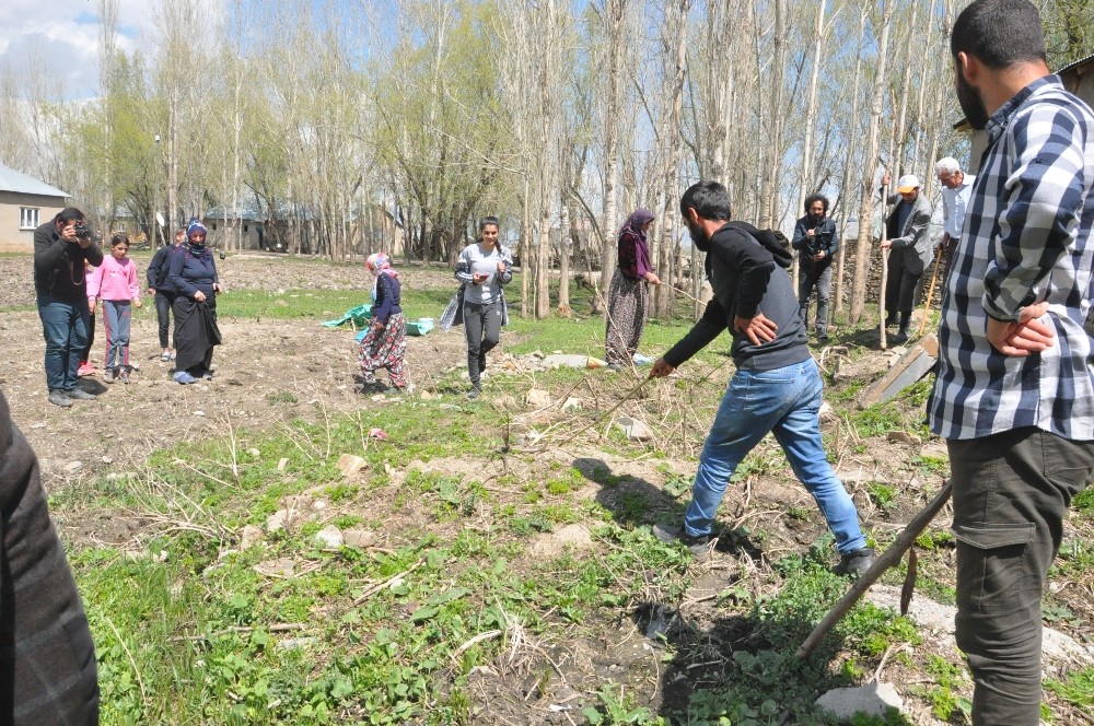 Yılanlar evi bastı 