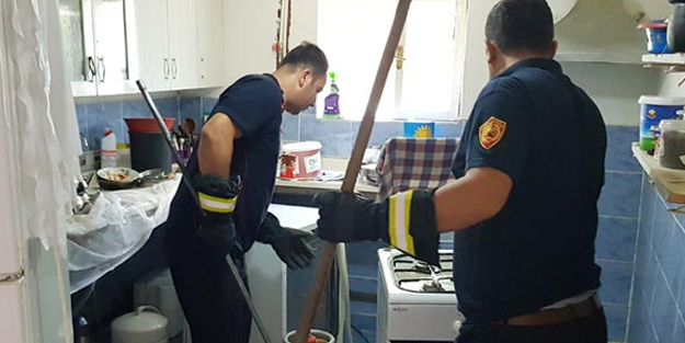 Yılanlar istila etti! Evlere giremiyorlar