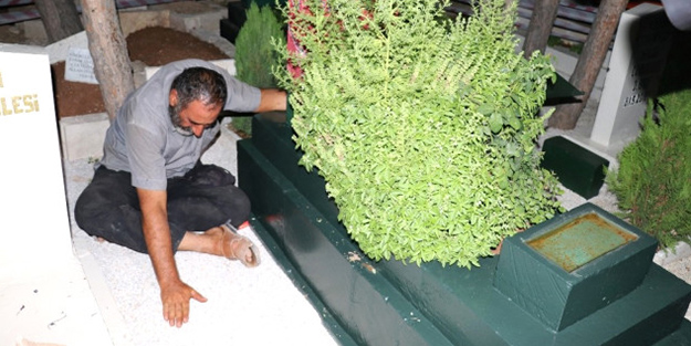 Yılanlara rağmen mezarın başından ayrılmıyor