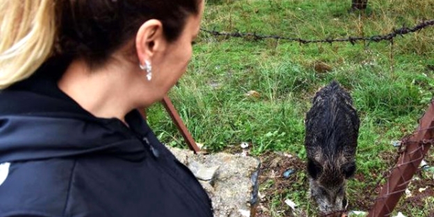 Yılbaşı gecesi geldi... Bir daha gitmedi!