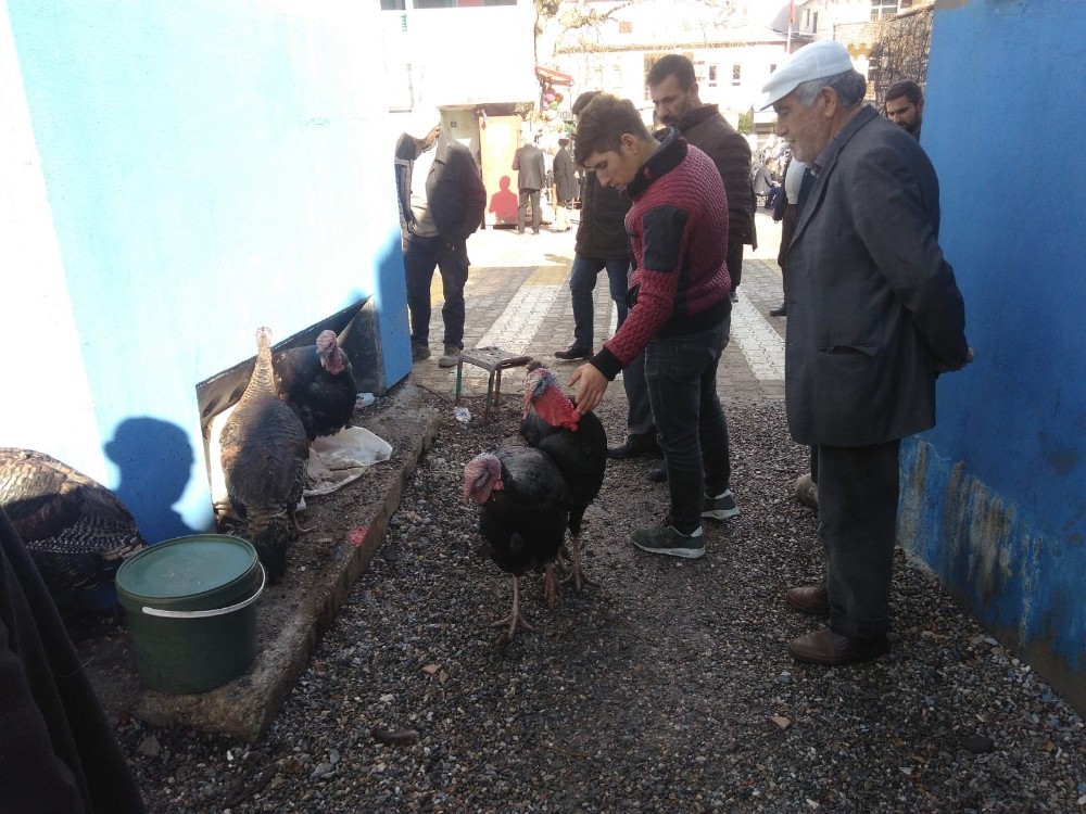 Yılbaşı hindileri pazarda yerini aldı 