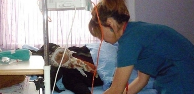 Her yıl 159 bin kişi kansere yakalanıyor