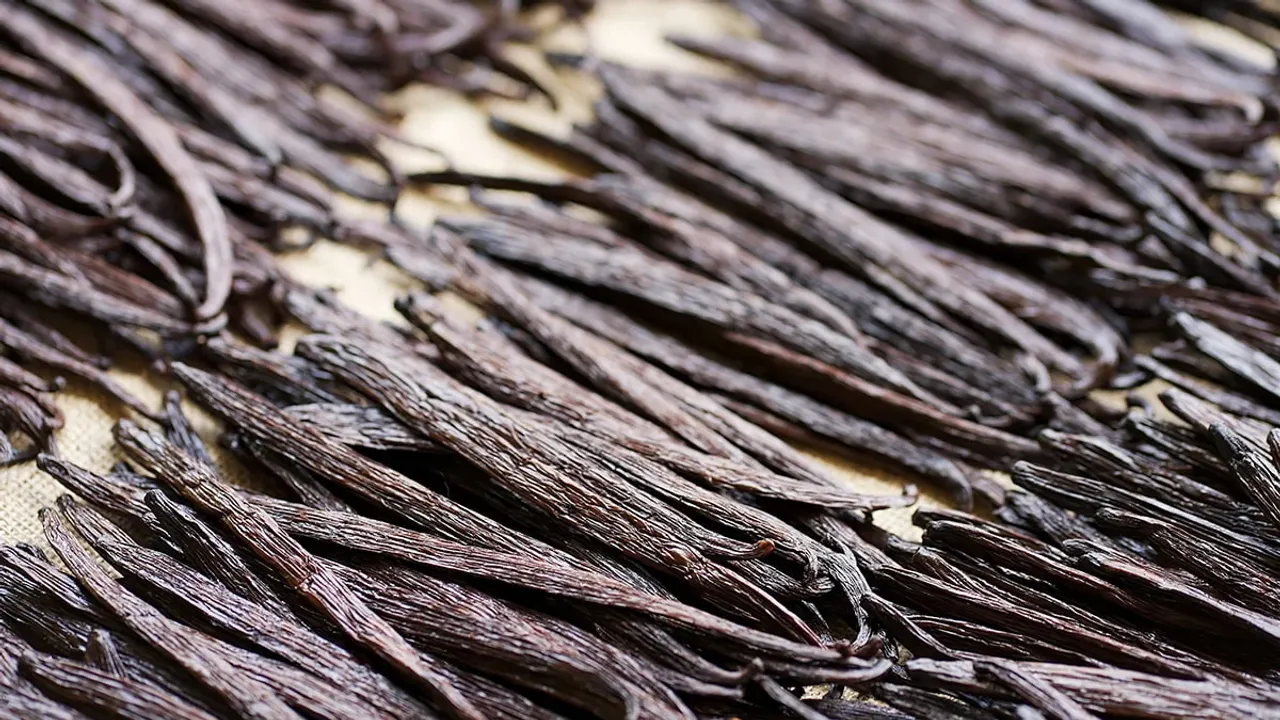 Yılda Sadece 1 Kez Toplanıyor, Fiyatı Altınla Yarışıyor!