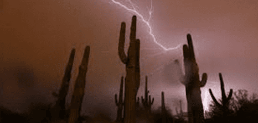 Yıldırım çarptı: 2 bin kişi öldü