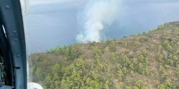 Yıldırım düşen ormanlık alanda yangın çıktı!