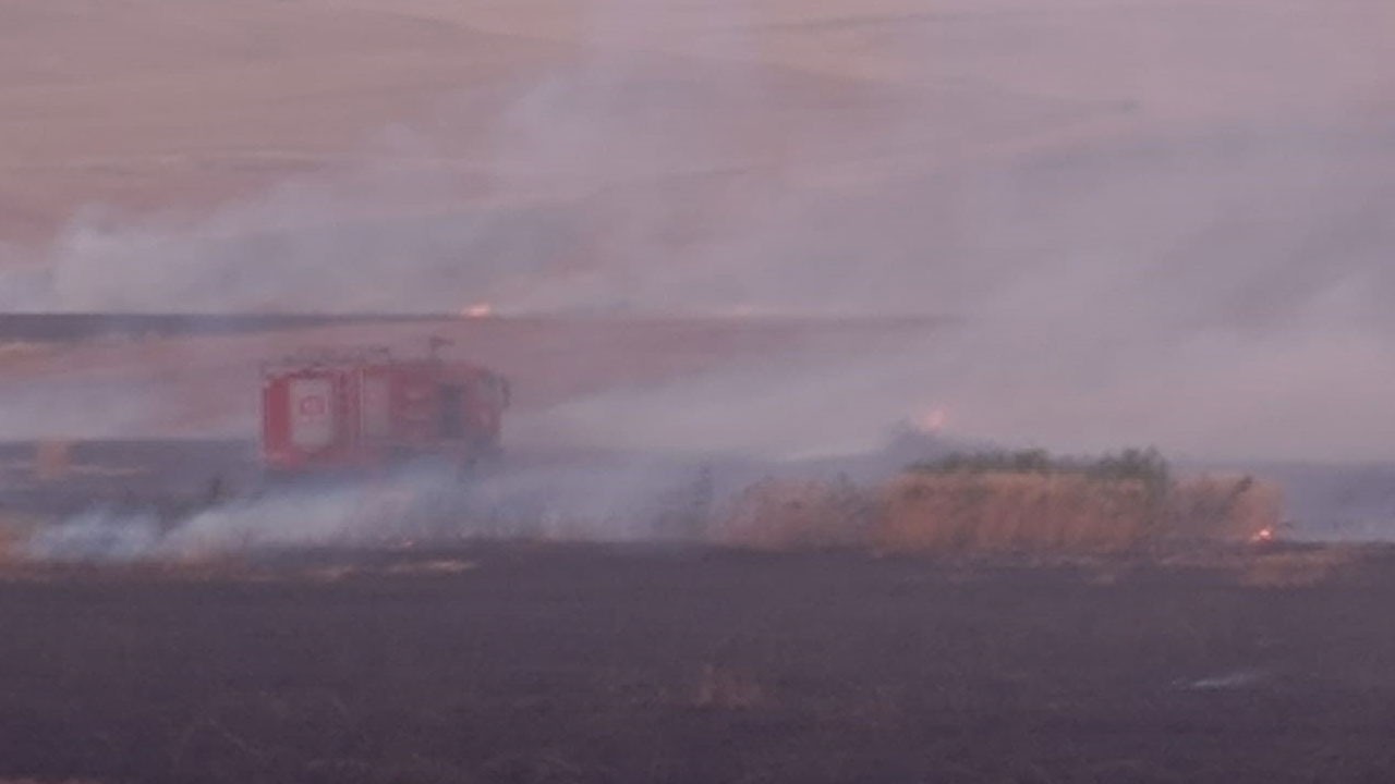 Yıldırım düşen tarla kül oldu!