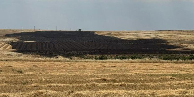 Yıldırım düştü, tarla yandı