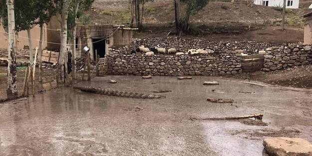 Yıldırım isabet eden çoban hayatını kaybetti