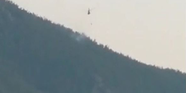 Yıldırımın düştüğü ormanlık alanda yangın!