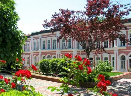 Yıldız Teknik Üniversitesi öğretim üyesi alacak