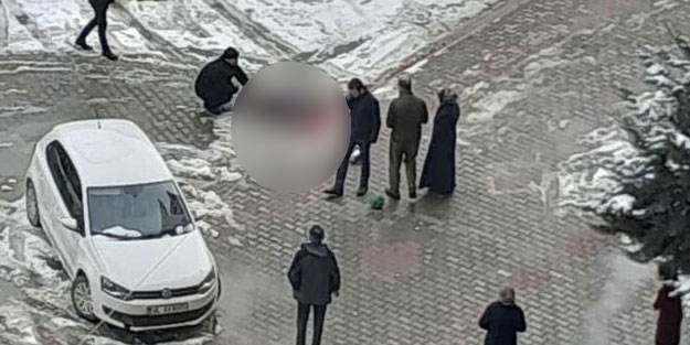 Yıldız Tilbe, sözde hayvanseverler ne der demedi! Direk söyledi: Köpek Terörü