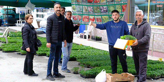 Yılın ilk fideleri seralardan tezgahlara taşındı