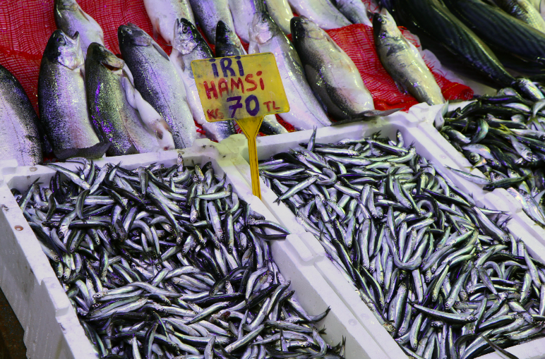 Yılın son günü 'balık' hareketliliği; hamsinin fiyatı şok etti!