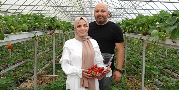 Yıllık 5 ton rekolteye ulaşıyorlar! 